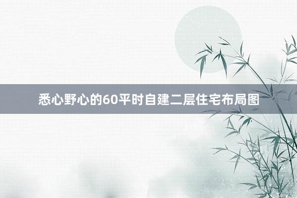 悉心野心的60平时自建二层住宅布局图